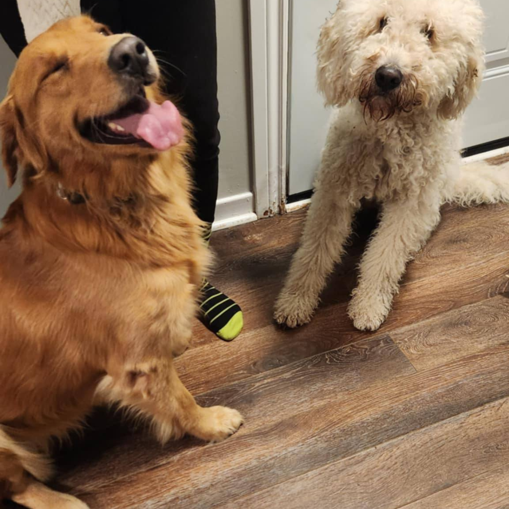 DEXTER, left (and Lucy)